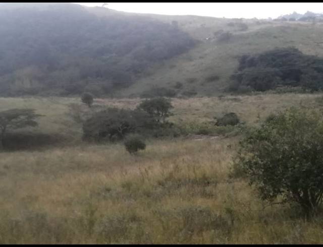 FARM FOR SALE IN STANGER RURAL